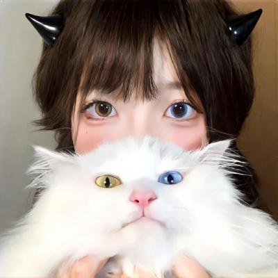 后宫